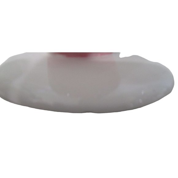 Ballet Slipper Point Shoe En Pointe Vase Pink Red Rose Accent Small Bottom Chip - Picture 11 of 12